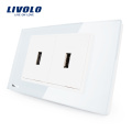 Hersteller Livolo US-Standardsteckdose Kristallglas USB Steckdose Wandsteckdose 110-220 V VL-C392USB-81